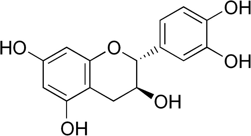 catechin molecule