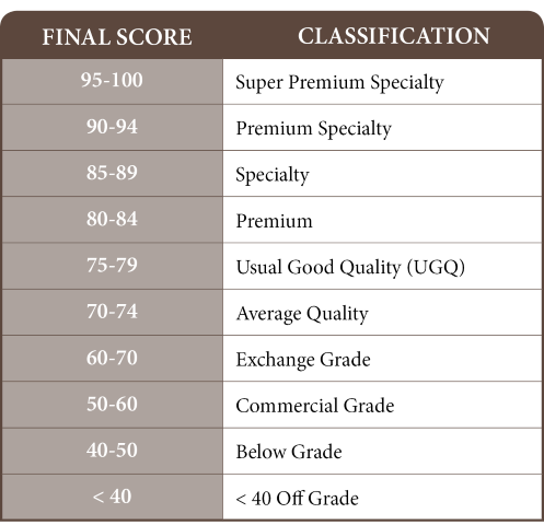 SCAA cupping final score classification